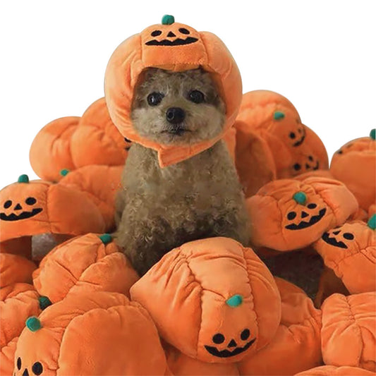 Pup-kin Patch Hat