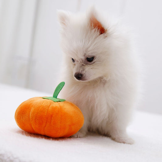 Pup-kin Patch Toy